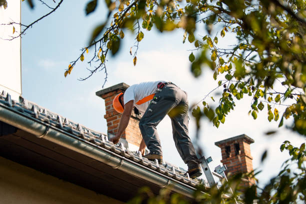 Best Commercial Roofing Services  in Whitefish, MT