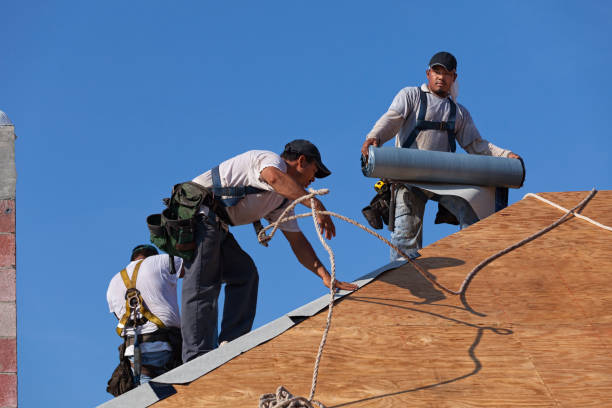 Best New Roof Installation  in Whitefish, MT